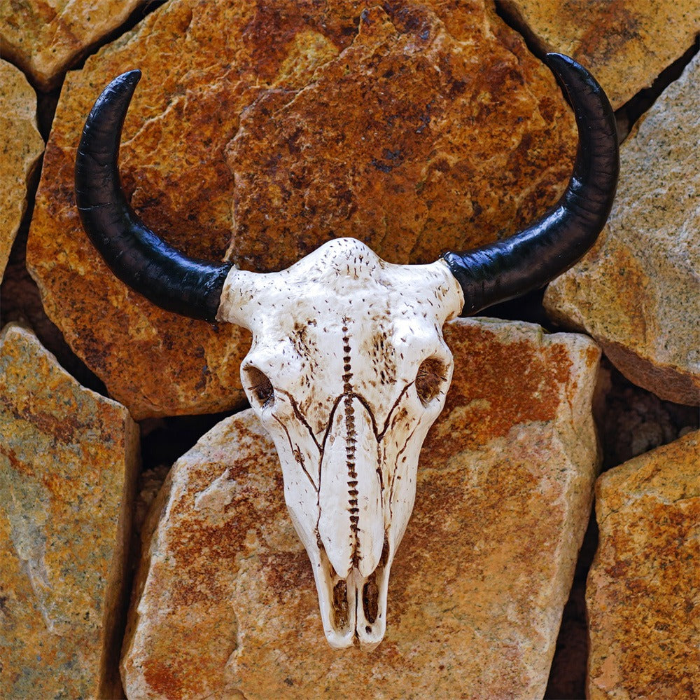 Medium size cow horn wall mounted three-dimensional bone plaque