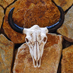 Medium size cow horn wall mounted three-dimensional bone plaque